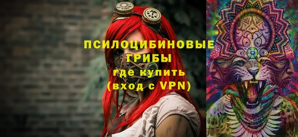 крисы Алексин